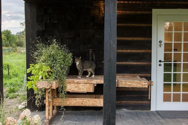 Chatka W Trawach Krakow Holiday home